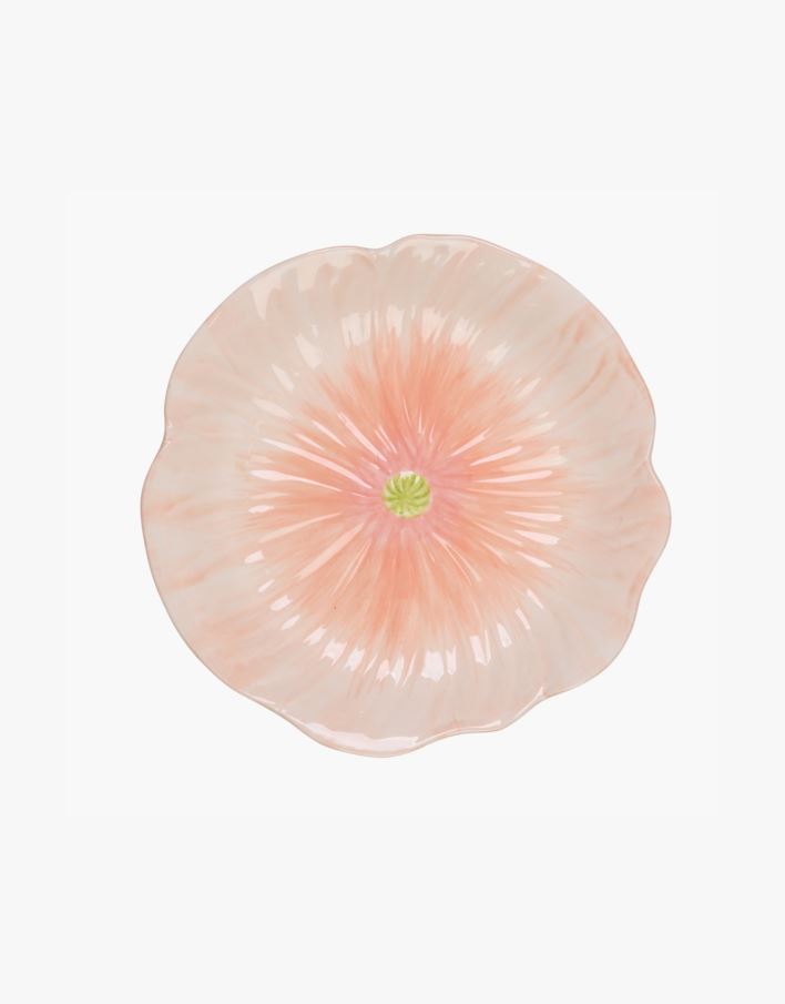 Lautanen aprikoosi - ø20 aprikoosi - 1